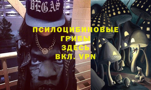 стаф Надым