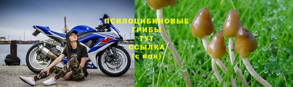 таблы Семёнов