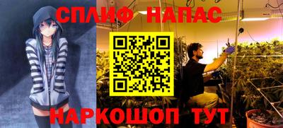 наркотики Абинск