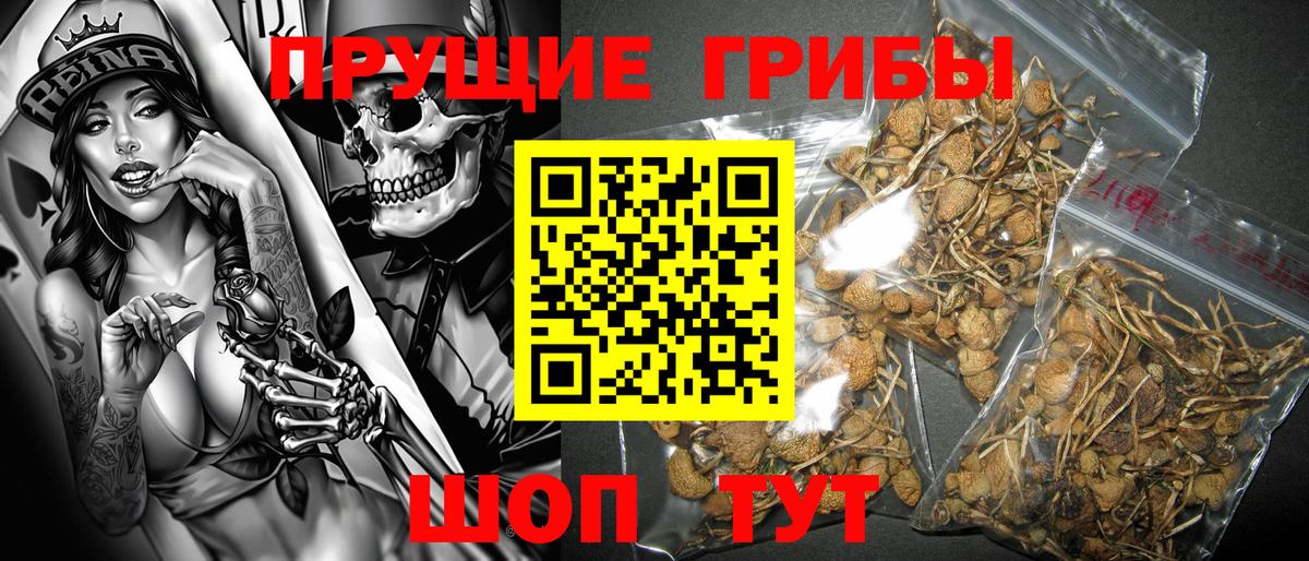 Галлюциногенные грибы Cubensis Уссурийск