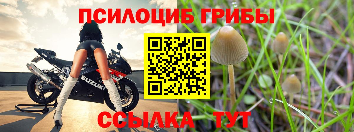 Псилоцибиновые грибы мицелий Уссурийск