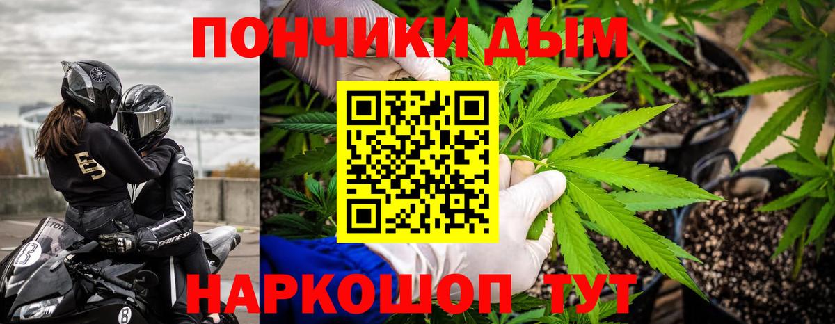 Канабис OG Kush Уссурийск